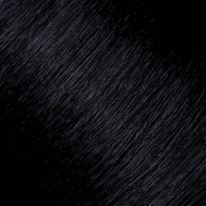 LANZA Liquids Demi Gloss 01N Blue/Black 90 ml